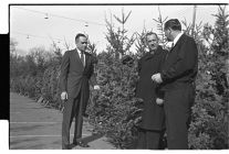 Mayor buying a Christmas tree 